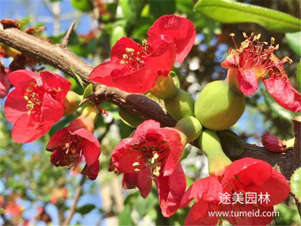 http://m.wjetqwm.cn/ch/30.html
